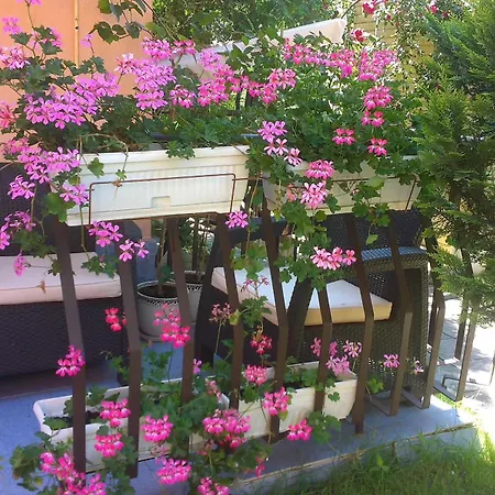 Ivy Гостьовий будинок