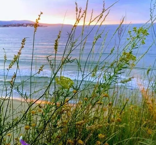 Гостьовий будинок Ivy Равда