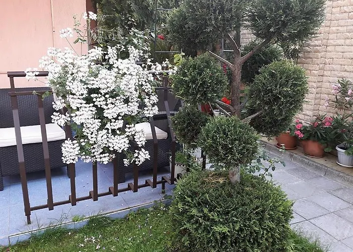 Гостьовий будинок Ivy