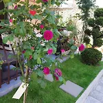 под наем иви - 2* Ravda