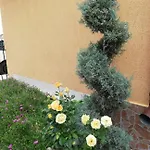 под наем иви - Maison d'hôtes 2*