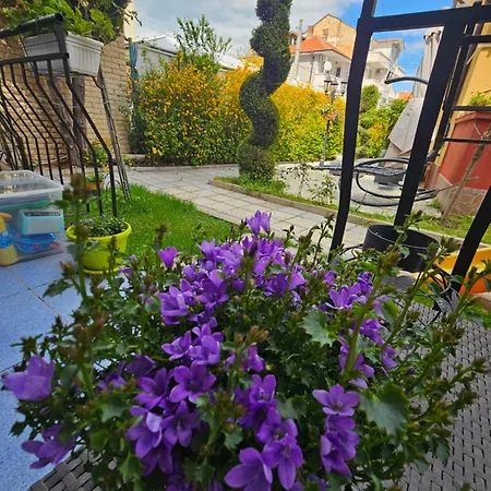 под наем иви - Maison d'hôtes 2*