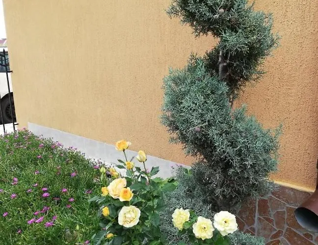 Ivy ゲストハウス 2*