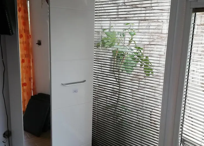 ゲストハウス Ivy 2*