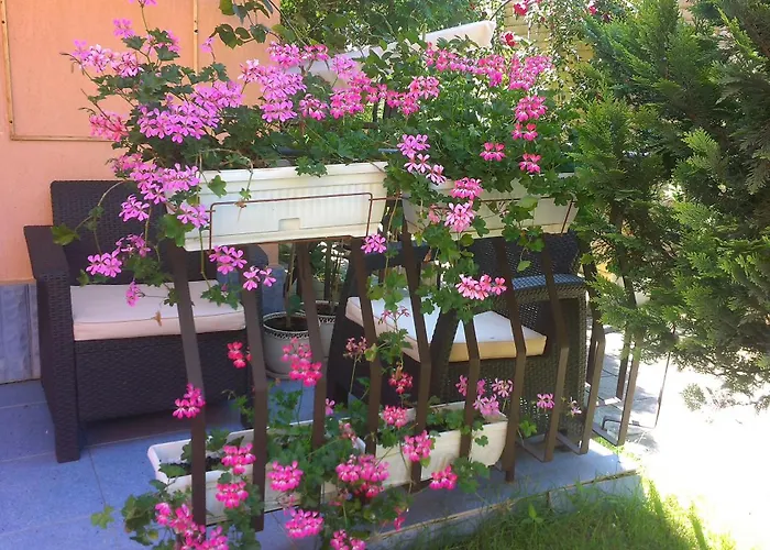 Ivy ゲストハウス