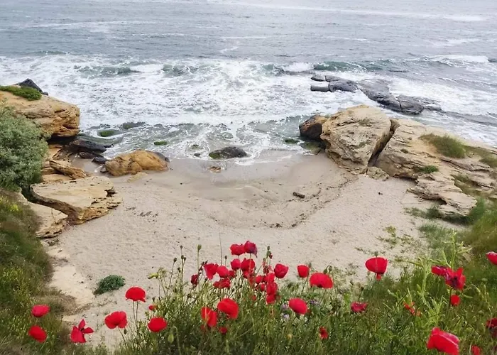 ゲストハウス Ivy