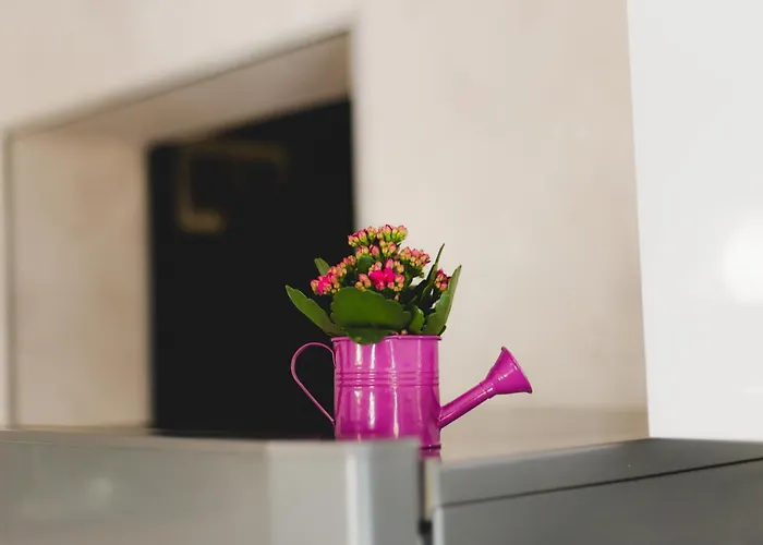 Ivy ゲストハウス 2*